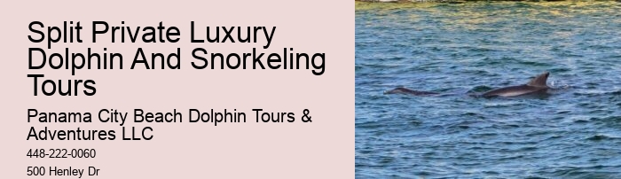 How Long Is The Dolphin Swim Experience And What Is The Age