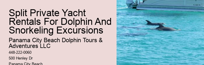 Split Marine Biology-focused Dolphin And Snorkeling Tours