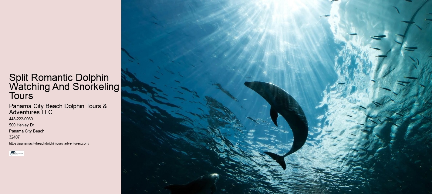 Split Expert-guided Snorkeling And Dolphin Adventures