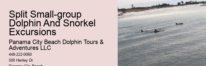 Secluded Dolphin Exploration with Snorkeling