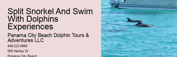 Split Sunrise Dolphin Watching And Snorkeling Trips