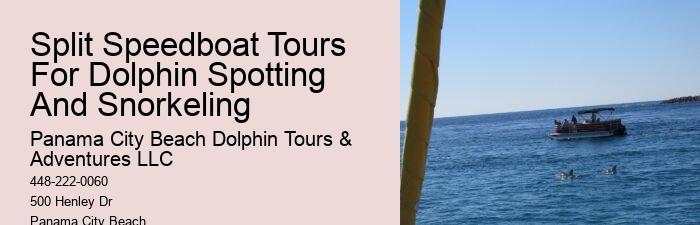 Yacht Dolphin Tours
