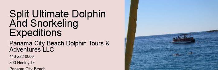 Split Private Yacht Rentals For Dolphin And Snorkeling Excursions