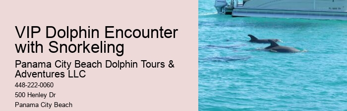 Private Dolphin Tours Orange Beach