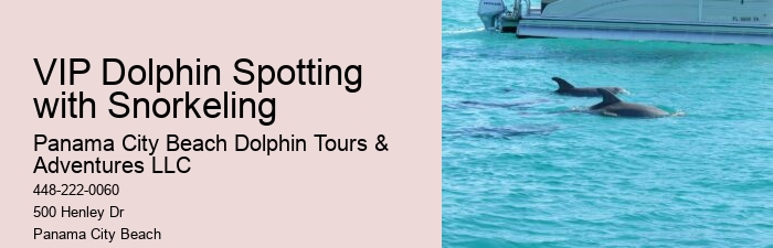 Split Private Snorkeling And Dolphin Watching Tours