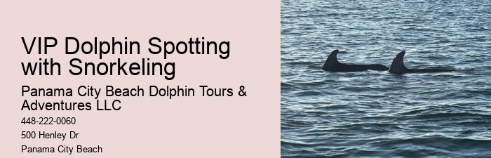 Papa Joes Dolphin Cruise