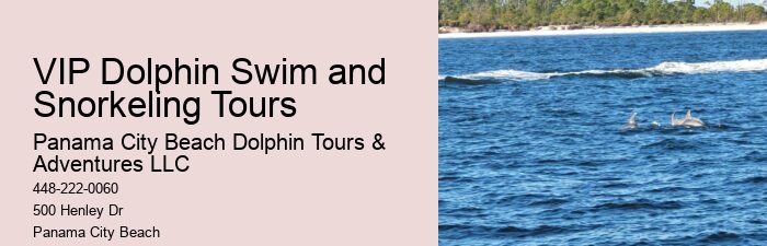 What safety measures are in place during dolphin tours in Panama City Beach